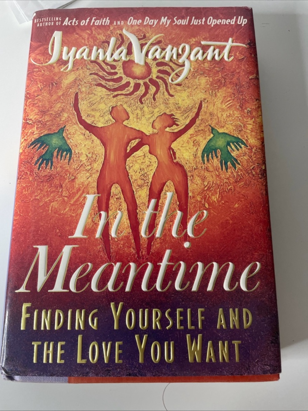 In the Meantime : Finding Yourself and the Love You Want by Iyanla Vanzant...